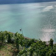 Vue sur le Léman