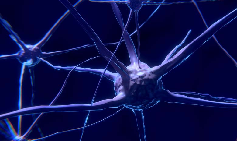 Synapse des Gehirns Synapse des Gehirns